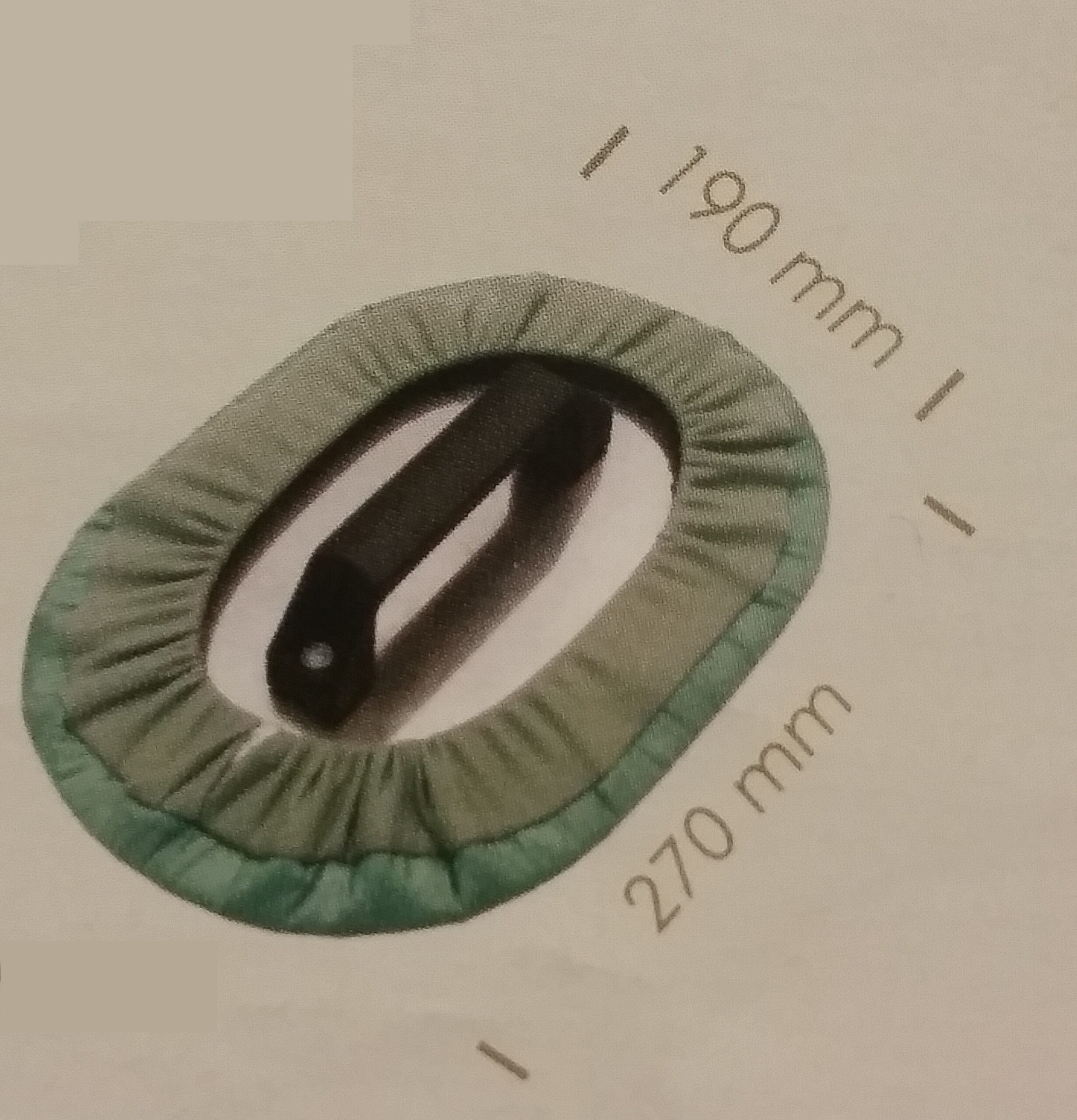 platoncino a mano verde